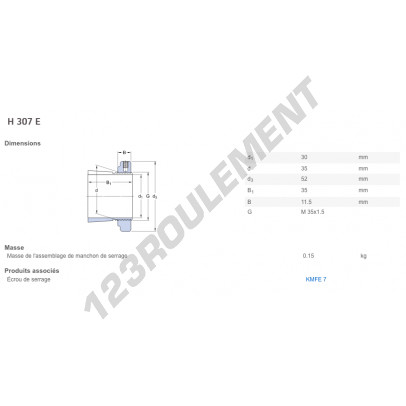H307E-SKF