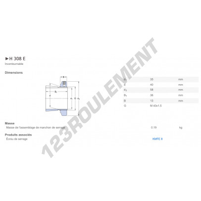 H308E-SKF