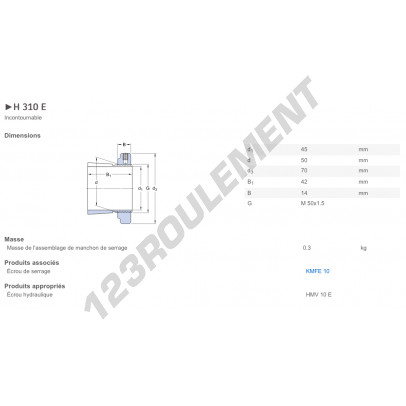 H310E-SKF