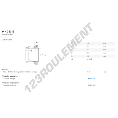 H313E-SKF
