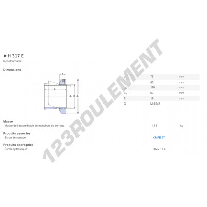 H317E-SKF