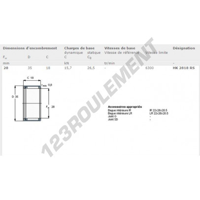 HK2818-RS-SKF