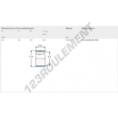 IR6-10-10-IS1-SKF
