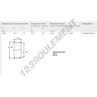 K100-107-21-SKF