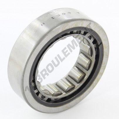 M-1306-TV-BOWER