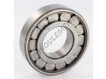 N-40000-S05-H100-SNR