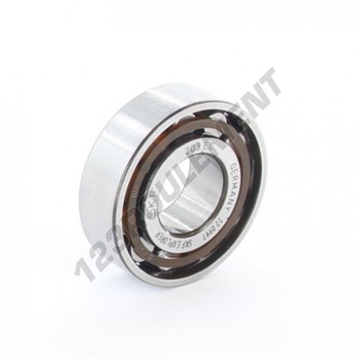 N203-ECP-SKF
