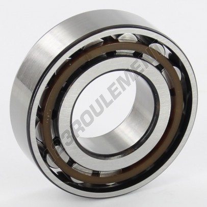 N205-ECP-SKF