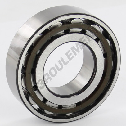N206-ECP-SKF