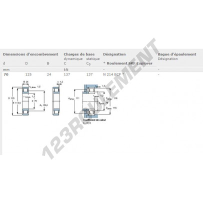 N214-ECP-SKF