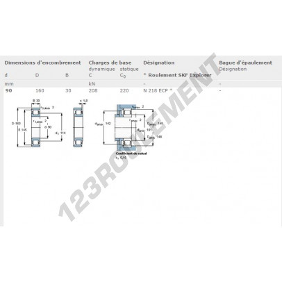 N218-ECP-SKF