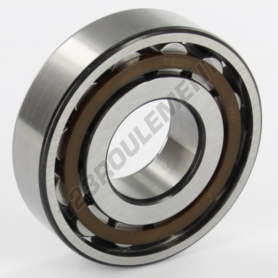 N306-SKF
