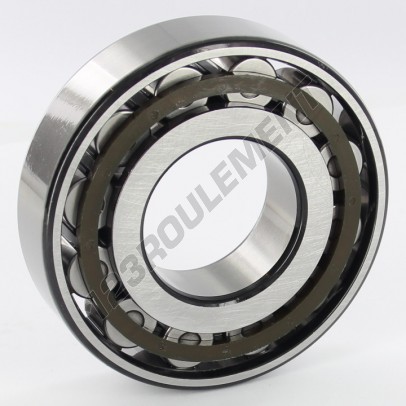 N308-ECP-SKF