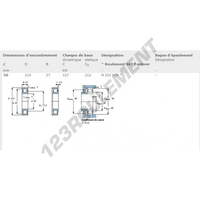 N310-ECP-SKF