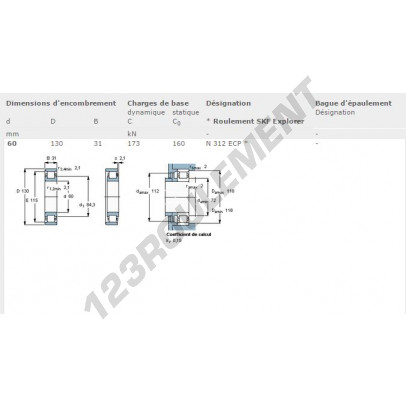 N312-ECP-SKF