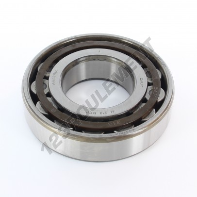 N313-ECP-SKF