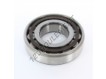 N313-ECP-SKF