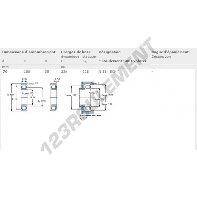 N314-ECP-SKF