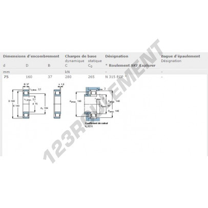 N315-ECP-SKF