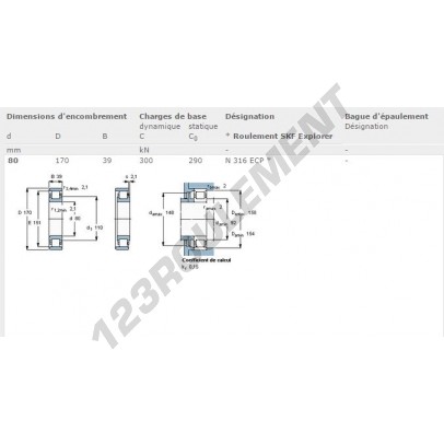 N316-ECP-SKF