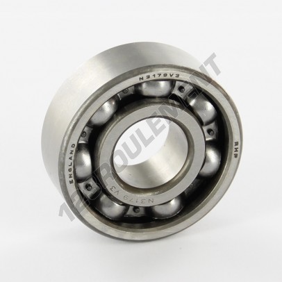 N3179-RHP