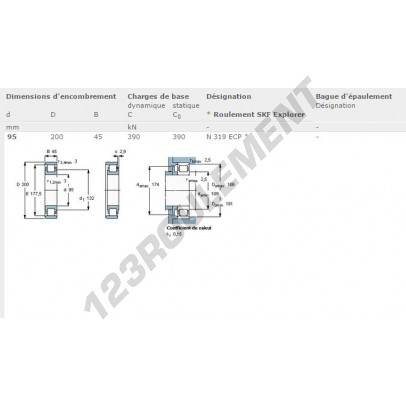 N319-ECP-SKF