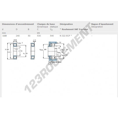 N322-ECP-SKF