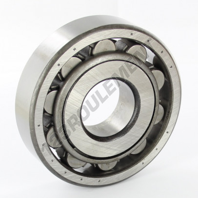N407-SKF
