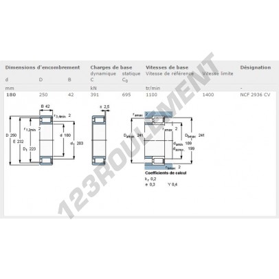 NCF2936CV-SKF