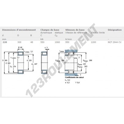 NCF2944CV-SKF