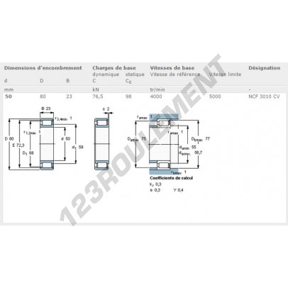 NCF3010CV-SKF