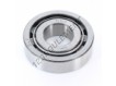 NF306-SKF