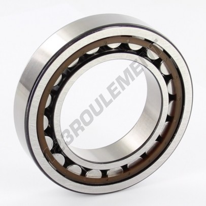 NJ1009-ECP-SKF