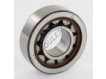 NJ203-ECP-SKF