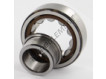 NJ204-ECP-C3-SKF