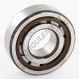 Roulement à rouleaux - NJ204-ECP-SKF