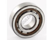 NJ204-ECP-SKF