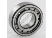 NJ205-ECJ-SKF