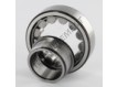 NJ205-ECJ-SKF