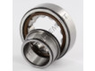 NJ205-ECP-C3-SKF