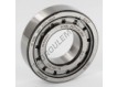 NJ206-ECJ-SKF