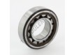 NJ206-ECP-C3-HVA624-SKF