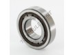 NJ206-ECP-C3-HVA624-SKF