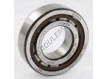 NJ206-ECP-C3-SKF