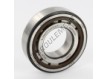 NJ206-ECP-C4-HVA624-SKF