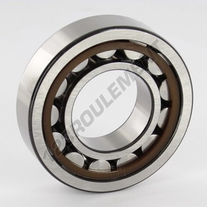 NJ206-ECP-SKF