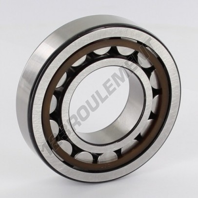 NJ207-ECP-SKF