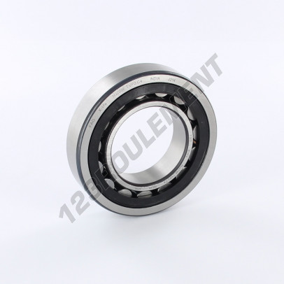 NJ209-ECP-C4-SKF