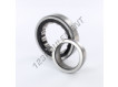 NJ209-ECP-C4-SKF