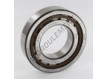 NJ209-ECP-SKF